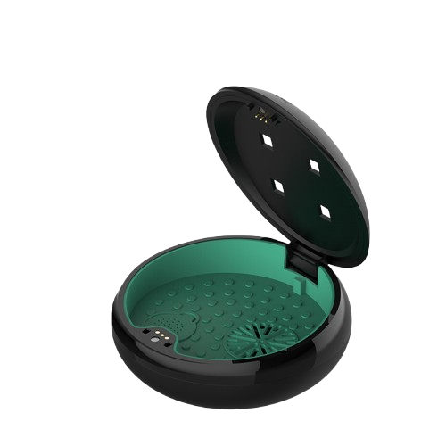 Compact Dental Cleaner